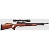 Carabina Evanix modello Blizzard (18113)