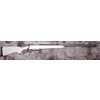 Carabina H.S. Precision modello 2000 Bignami Hunter (13072)