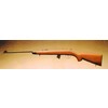Carabina Norinco modello JW 15 (13549)