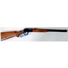 Carabina Norinco modello JW 21 Sporting (16971)