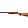 Carabina Remington 504