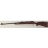 Carabina Remington modello 700 (10120)