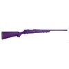 Carabina Remington modello 700 (13241)