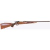 Carabina SAKO LTD modello 75 Varmint (16145)