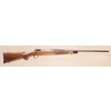Carabina Savage modello 111 (13039)