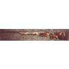 Carabina Surgeon Rifles Scalpel