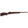 Carabina Weatherby modello Mark V (12111)