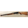 Carabina Winchester modello 290 (6669)