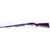 Carabina Winchester modello 61 (5155)