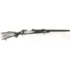 Carabina Winchester modello 70 Varmint (288)