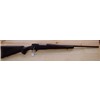 Fucile Howa modello 1500 Hunter (14461)