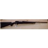 Fucile Howa modello 1500 Hunter (14461)