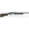 Fucile Beretta Pietro modello Al 391 Rifled (15051)