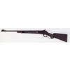 Fucile PEDERSOLI DAVIDE & C Winchester 1886 Fucile PEDERSOLI DAVIDE & C Winchester 1886