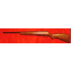 Fucile Savage Arms Canada 93r17