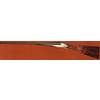 Fucile express Rizzini R. 1 Safari (eiettori automatici) Fucile express Rizzini R. 1 Safari (eiettori automatici)