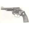 Pistola Charter Arms modello 53842 Police Bulldog (2201)