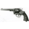 Pistola Colt modello New army 1901 (7520)