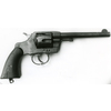 Pistola Colt modello New army 1901 (7520)