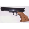 Pistola Gamo Compact (tacca di mira regolabile)