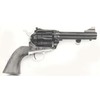 Pistola Jager modello 1873 (mira regolabile) (1447)
