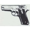 Pistola Smith &amp; Wesson 639 (acciaio inox)